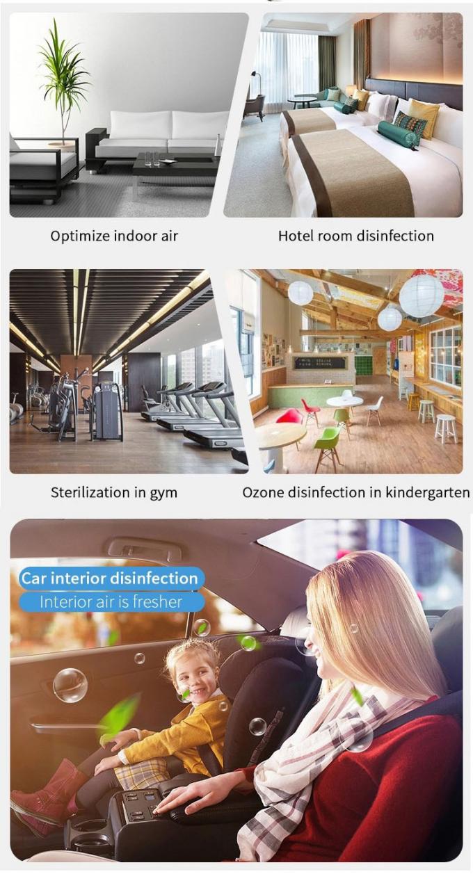 HOMEFISH Komercyjny oczyszczacz powietrza Generator ozonu ze stali nierdzewnej Oczyszczacz powietrza 110V/220V 3